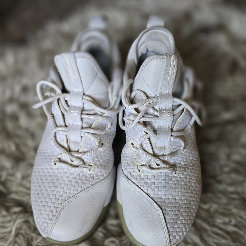 Nike LeBron XIV Low Ice